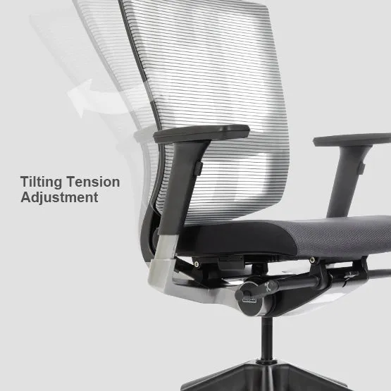 Bravo Ergonomic Computer Chair