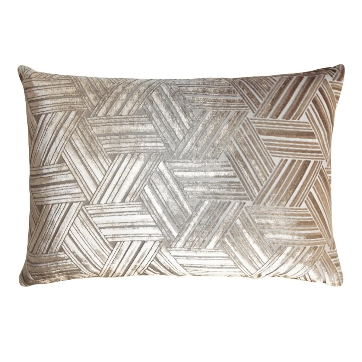 Coyote Entwined Velvet Pillow by Kevin O'Brien Studio