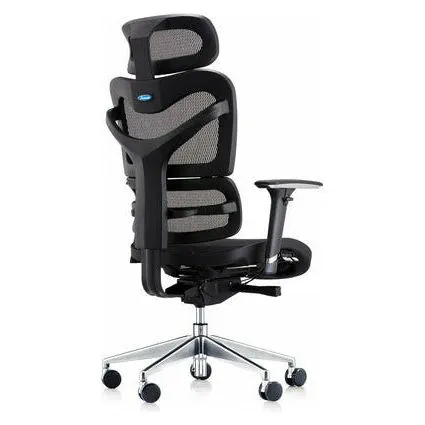 Dorsum - High Back Ergonomic Mesh Chair