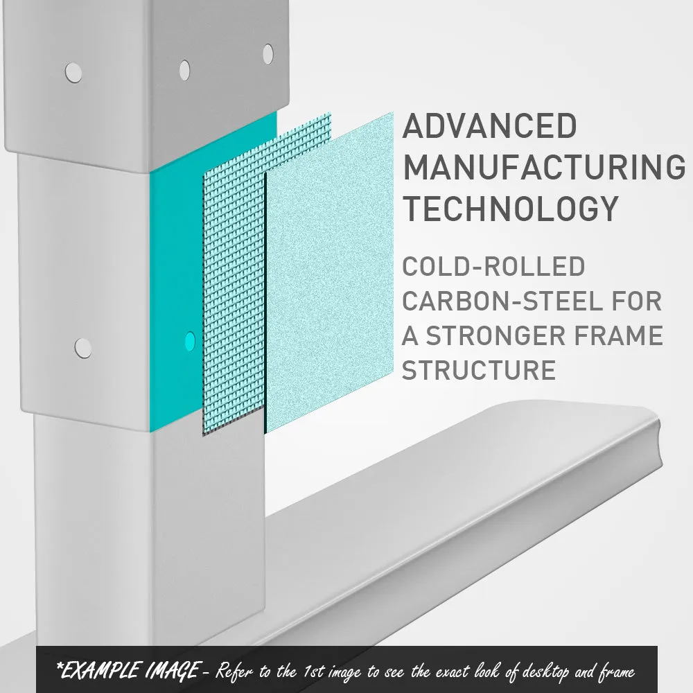 Electric Dual Motor Standing Desk, 150cm, 120kg Load, FORTIA