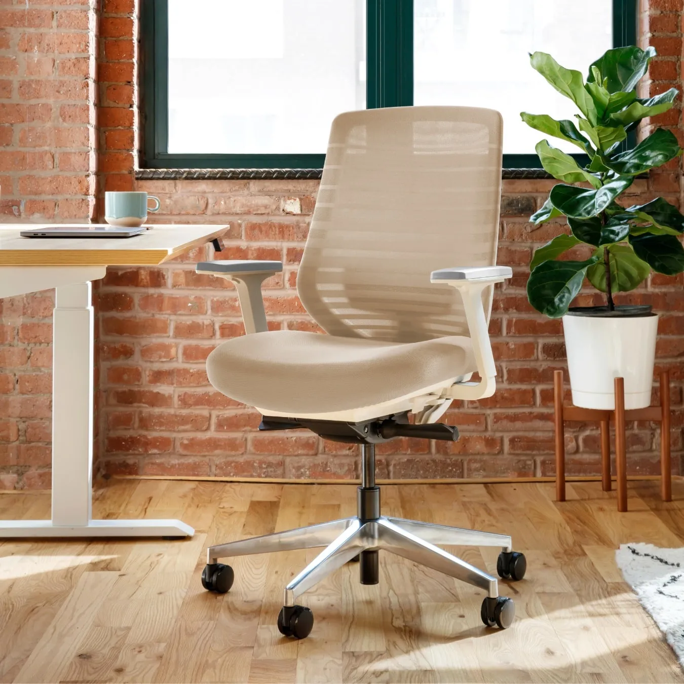 Ergonomic Chair