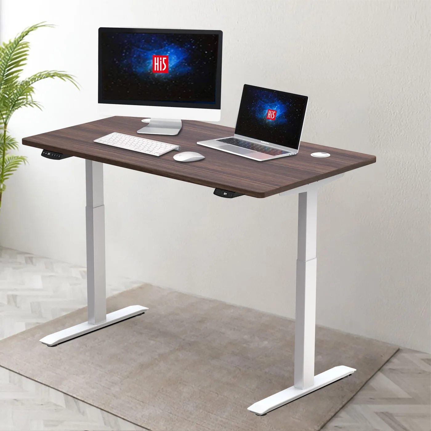 Hi5 Standing Desk Set with Rectangular Table Topfor Home Office Workstation with 4 colours (UK Plug) - Different sizes & colours