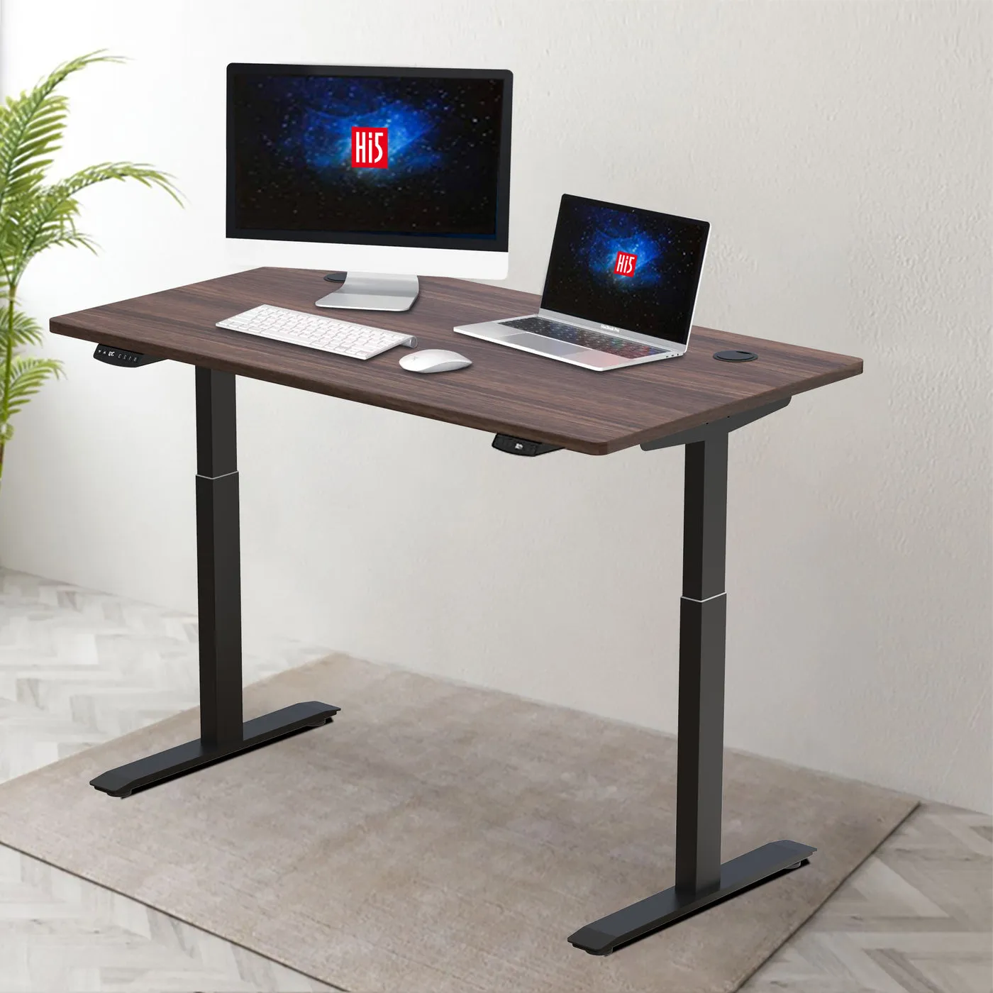 Hi5 Standing Desk Set with Rectangular Table Topfor Home Office Workstation with 4 colours (UK Plug) - Different sizes & colours