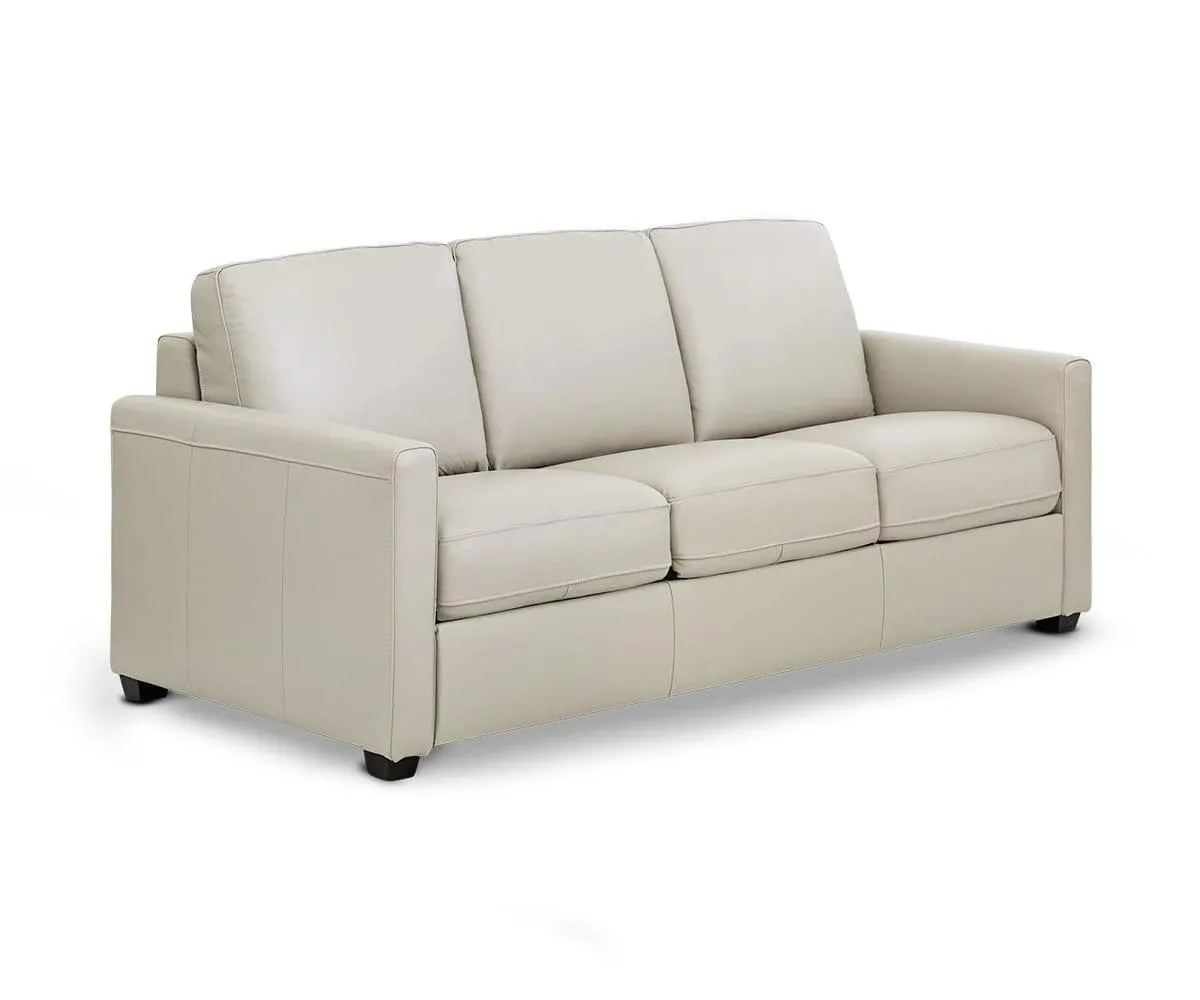 Jonas Leather Queen Sleeper Sofa