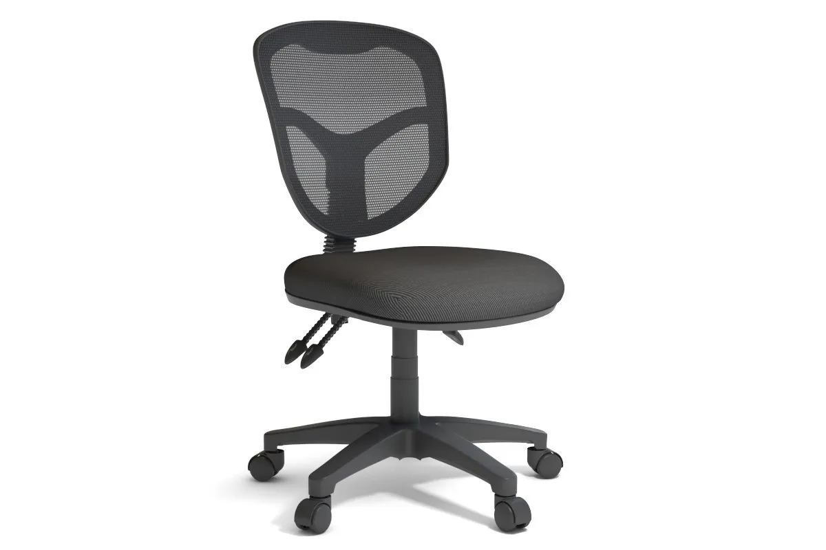 Plover Ergonomic Office Chair - Mesh Back